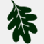 hooverhort.com