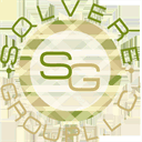 solveregroup.com