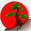 bonsaicima.com
