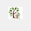 mindfulkid.com