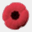 warstory.ca