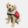 freedomguidedogs.org