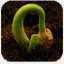 theseed.org.uk