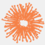 designerblooms.net