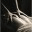 fusionbodywork.wordpress.com