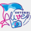 setubalalive.com