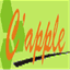 capplesolutions.com