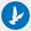 instructions.condor-security.com