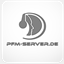 pfm-server.de