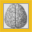 myanalogbrain.com