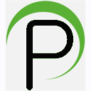 professionalpcsolutions.com