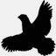 coveyrise.wpengine.com
