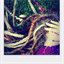 straystarstuff.bandcamp.com