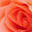 iluvyou.ca