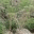 ceerigaabo.wordpress.com