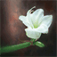 hildaaromatic1120.over-blog.com
