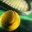 fuzzyyellowball.wordpress.com