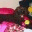ginospoodlepage.wordpress.com