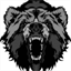 thesolarbear.com
