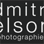 dmitrielson.com