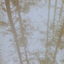 matthiasmilutkin.bandcamp.com