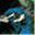 pfau-helwig.com