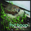 thehoop.bandcamp.com