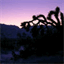 julesetsonjules.bandcamp.com