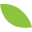 ecoplacemat.com