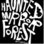hauntedmirrorforest.wordpress.com