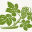 vinebalanceconsulting.com