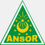 ansorjatim.or.id
