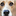 blogbeagles.blogspot.com