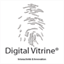 digitalvitrine.over-blog.com