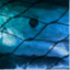 tangledwaters.wordpress.com