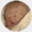 coomans.com