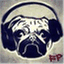funkypug.com