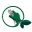 alisupay.org