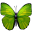 melodyhardwick.com