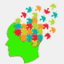 midbrainacademy.in