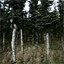 mikaelstenbaek.se