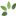 pestro.net