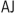 ajbouncers.com