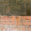 pawlicki.info