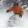 longtermtests.wordpress.com