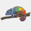 chameleodesign.com