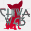 chiwaweb.com