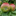 cideronline.com