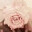 littleshade.wordpress.com
