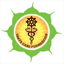 sakyacare.org